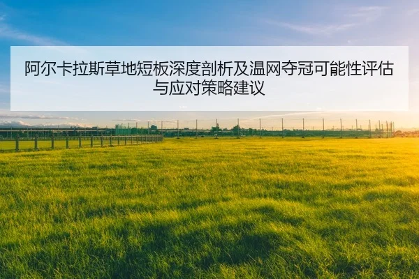 a-er-ka-la-si-cao-di-duan-ban-shen-du-pou-xi-ji-wen-wang-duo-guan-ke-neng-xing-ping-gu-yu-ying-dui-ce-lve-jian-yi-2-950.jpg