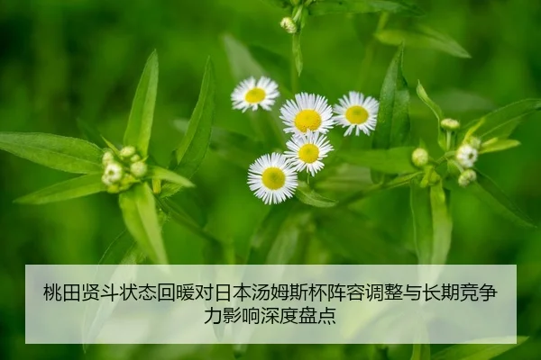 tao-tian-xian-dou-zhuang-tai-hui-nuan-dui-ri-ben-tang-mu-si-bei-zhen-rong-tiao-zheng-yu-chang-qi-jing-zheng-li-ying-2-164.jpg